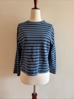 Zara Blue and Navy Striped Long-Sleeve Tee
